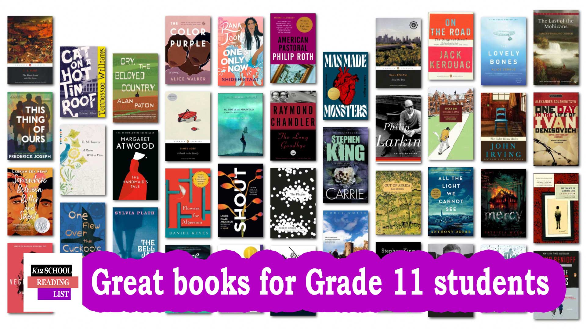 Great books for Grade 11 students aged 16-17