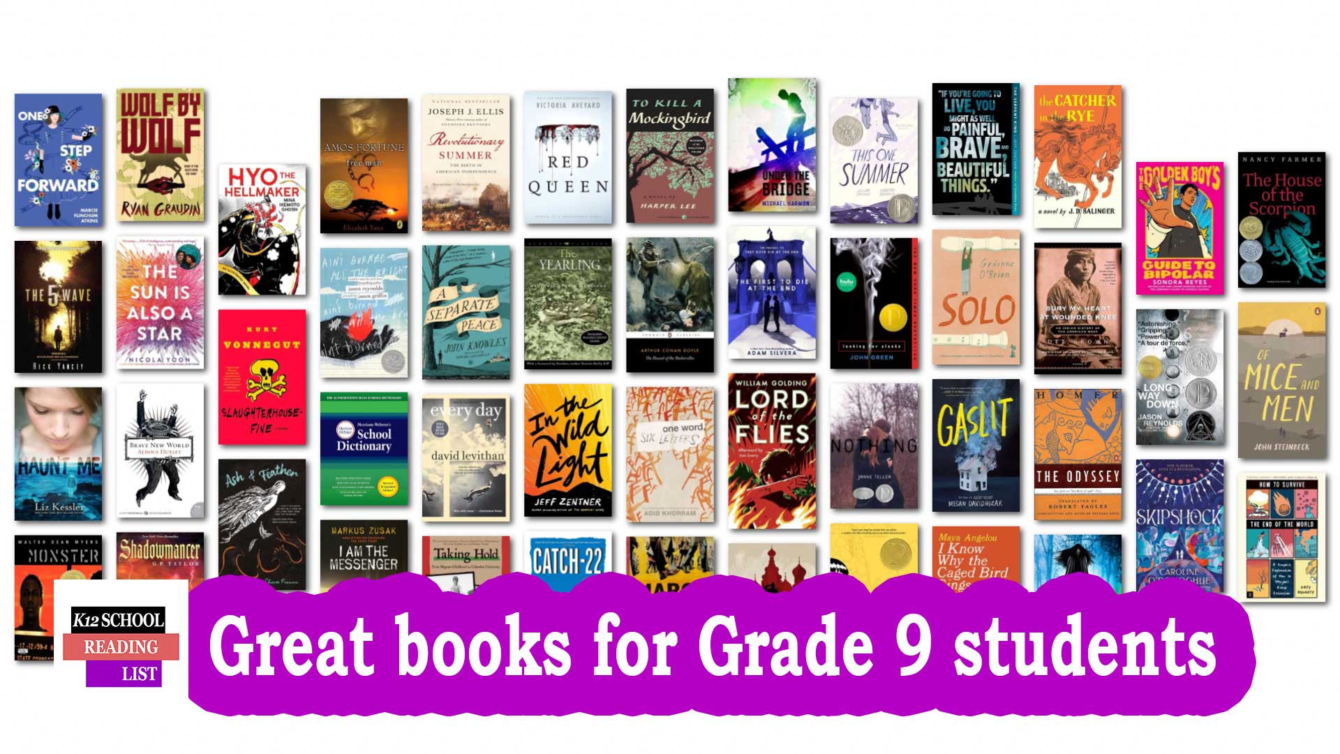 Great books for Grade 9 students aged 14-15